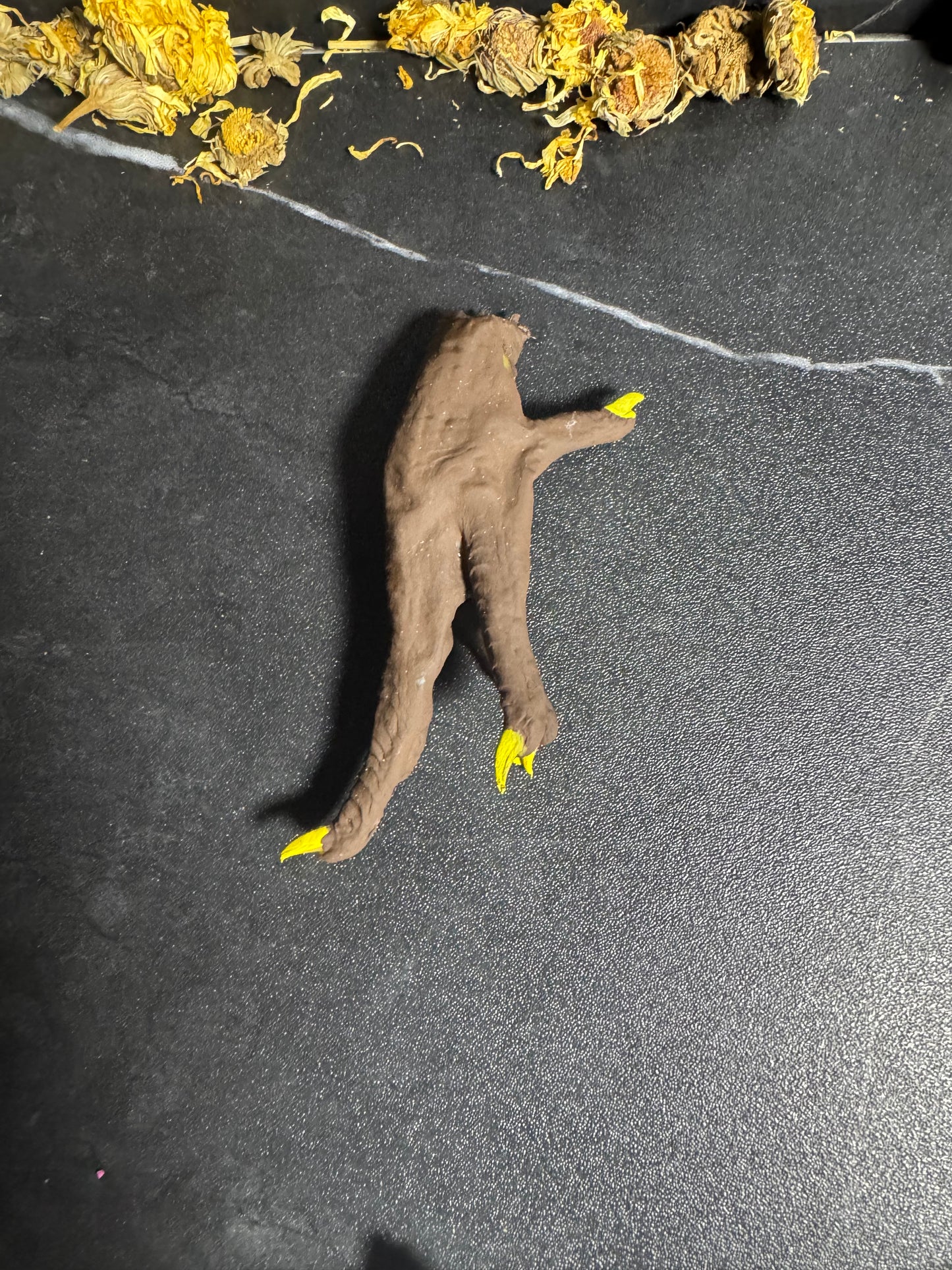 Chicken Feet
