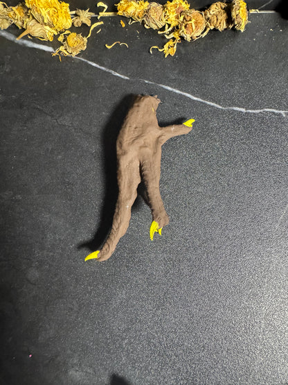 Chicken Feet