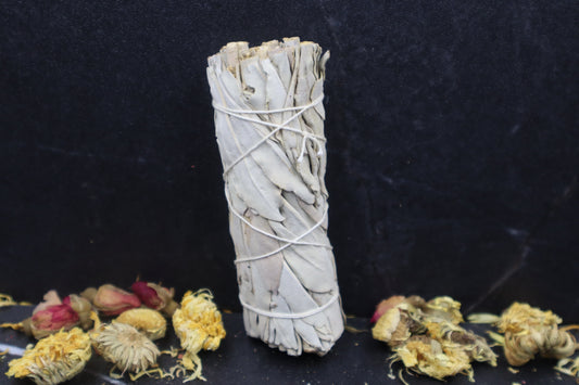 White Sage Smudge Stick